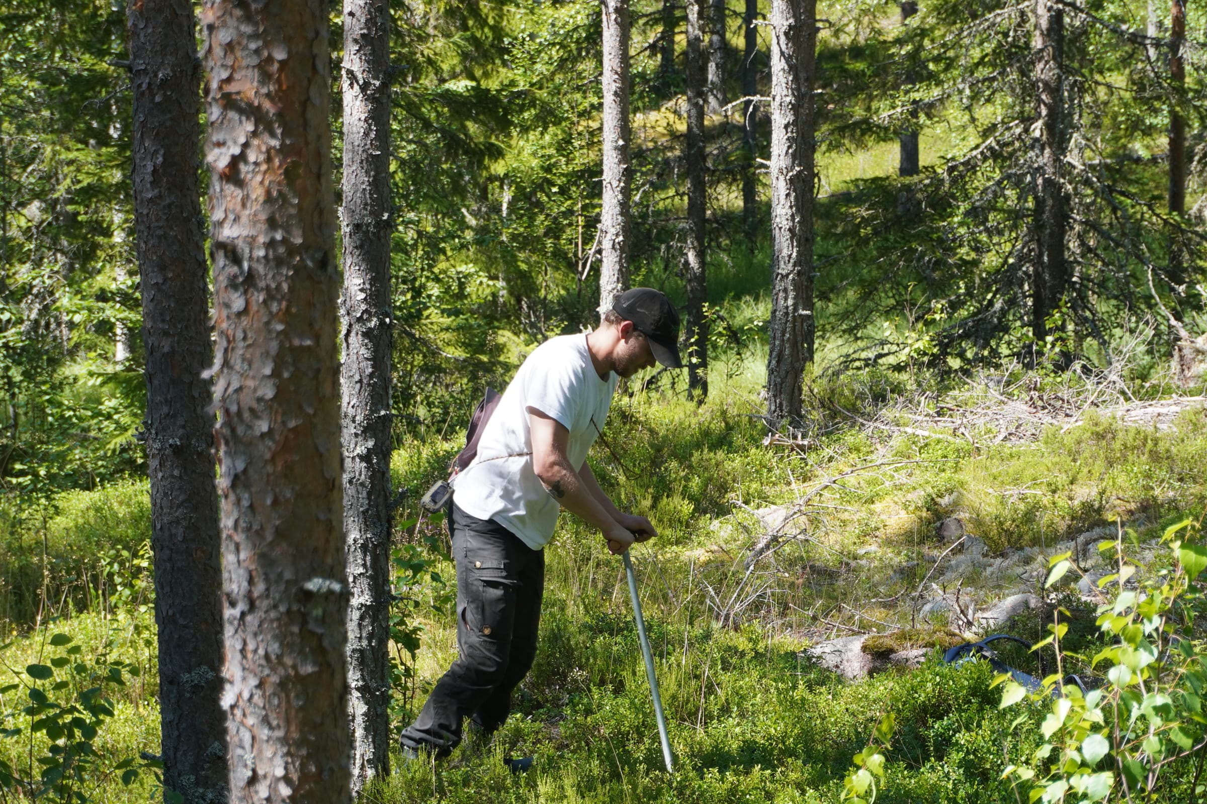 Geologist hand drilling in the forest