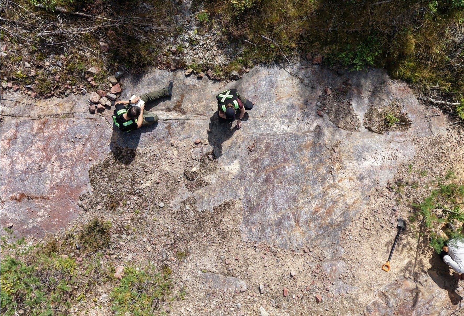 Aerial view of two geologists examining an exposed bedrock surface in the forest.