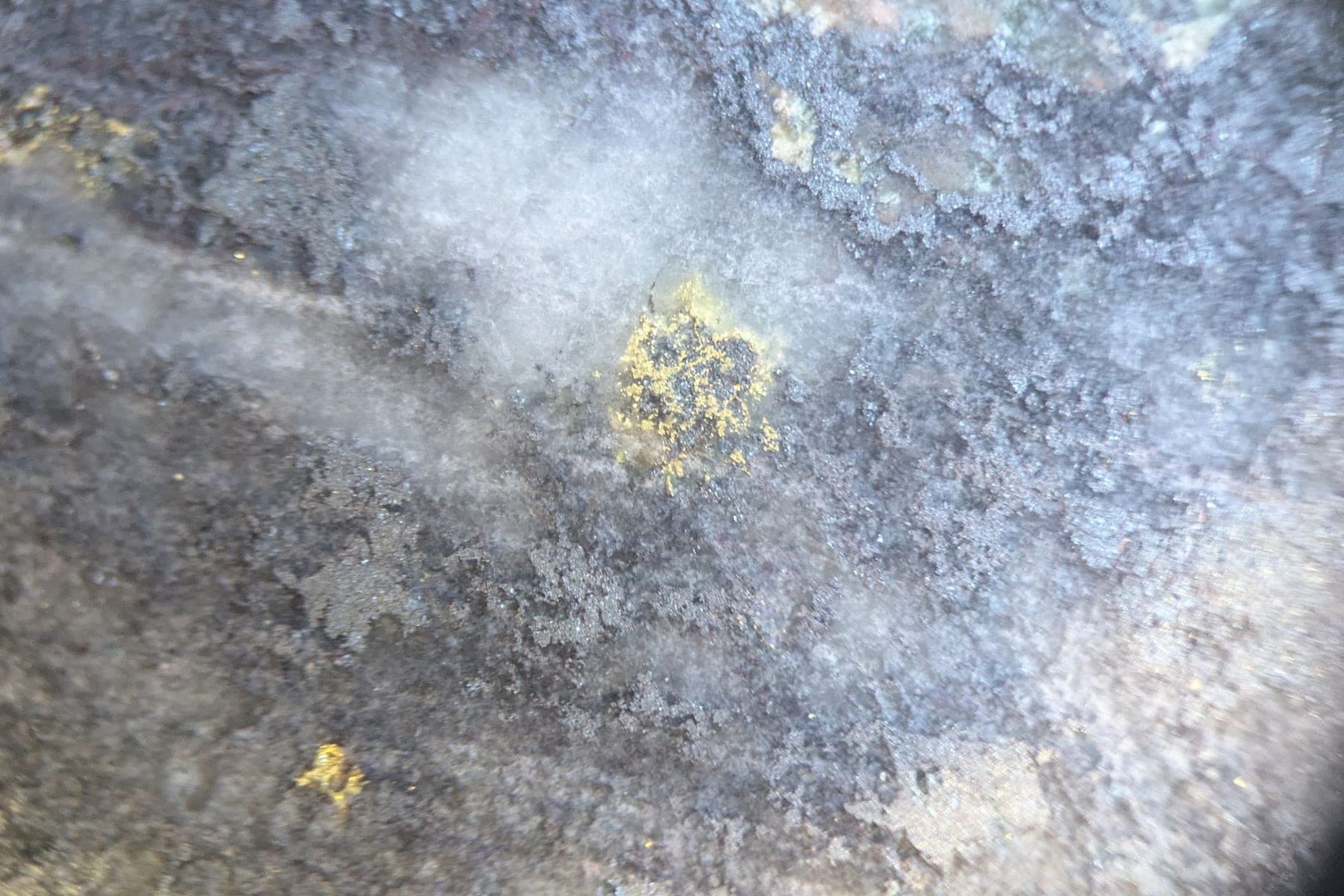 Close-up through a hand lens of a rock sample with gold-coloured mineral grains.